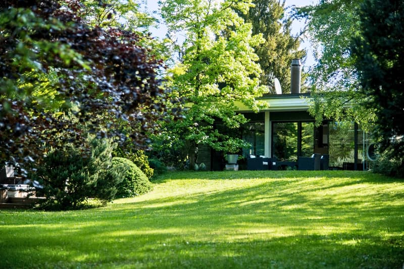 Magnifique propriété située à St-Julien-en-Genevois (17)