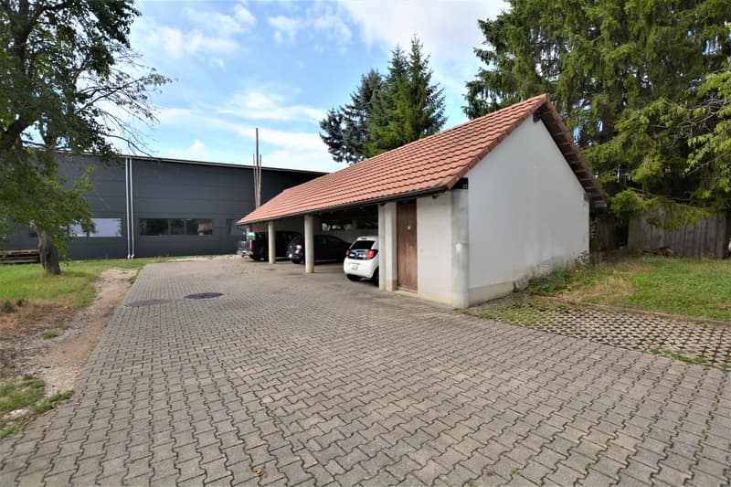 Très bel appartement de 4,5 pièces à Fregiécourt (14)