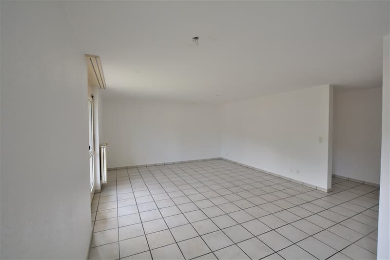 Très bel appartement de 4,5 pièces à Fregiécourt (4)