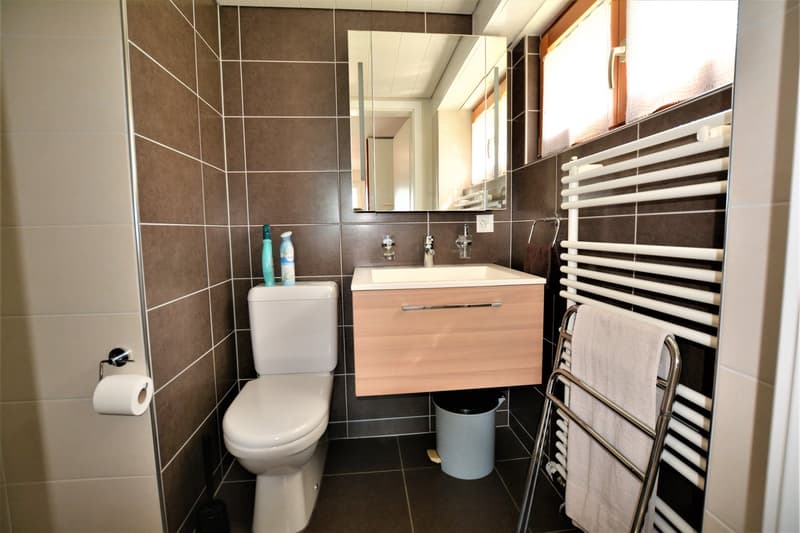 Joli appartement meublé de 2,5 pièces à Boncourt (5)