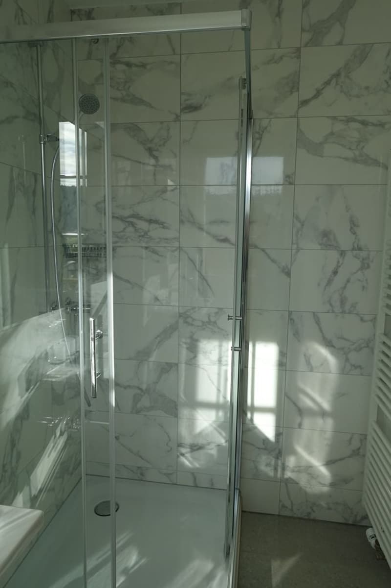 Tramelan - Appartement de 3,5 pièces entièrement rénové (1er mois offert) (2)