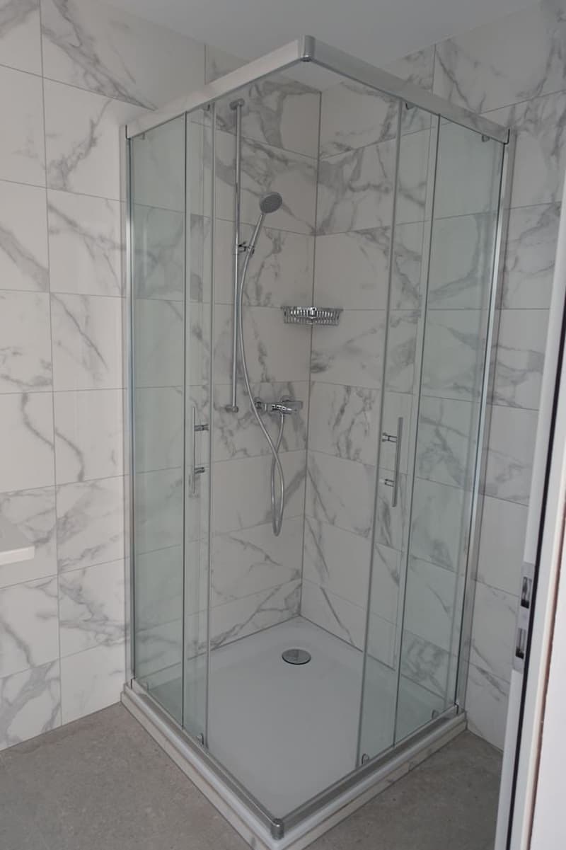 Tramelan - Appartement de 3,5 pièces entièrement rénové (1er mois offert) (2)