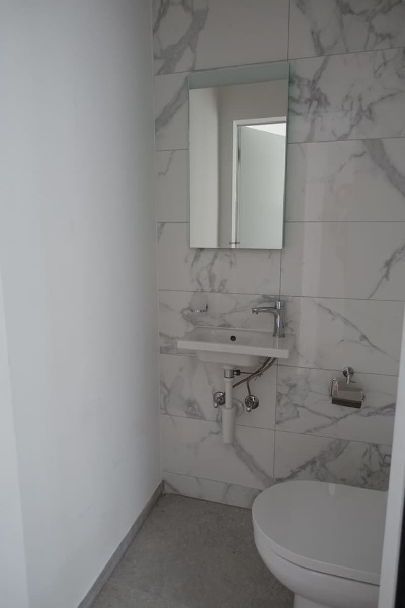 Tramelan - Appartement de 3,5 pièces entièrement rénové (1er mois offert) (3)