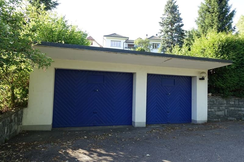 Two blue garage doors, a small lamp on the right side, surrounded by greenery and a house in the background.