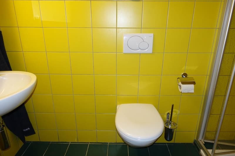 Yellow tiles, white sink, white toilet, glass door shower, towel rack, toilet paper holder, toilet brush, faucet