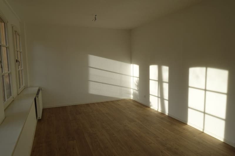Tramelan  - Appartement de 3.5 pièces entièrement rénové (1er mois offert) (4)