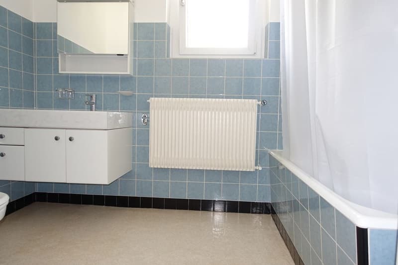 Tramelan - Maison de 2 appartements de 4 1/2 pièces et 3 1/2 pièces (15)