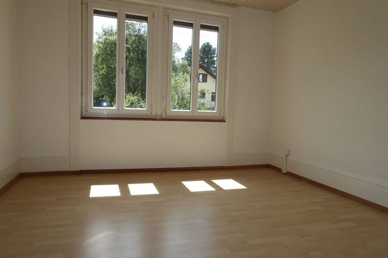 Tramelan - Maison de 2 appartements de 4 1/2 pièces et 3 1/2 pièces (12)