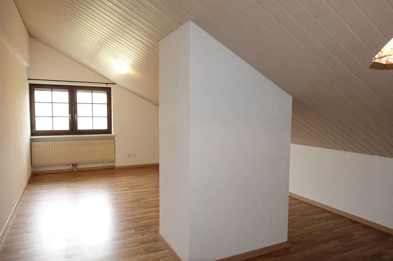 Les Reussilles - Appartement de 4 1/2 pièces + 2 chambres indépendantes + studio + 3 boxes à chevaux (13)