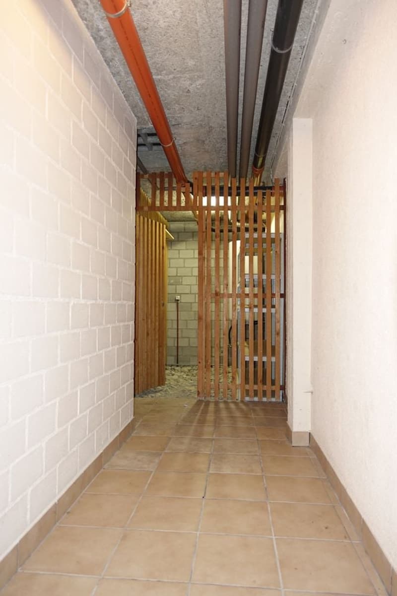 Vauffelin - Appartement de 3 1/2 pièces situé au rez-de-chaussée (7)
