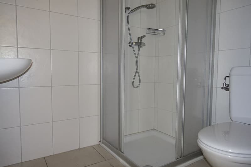 Vauffelin - Appartement de 3 1/2 pièces situé au rez-de-chaussée (5)