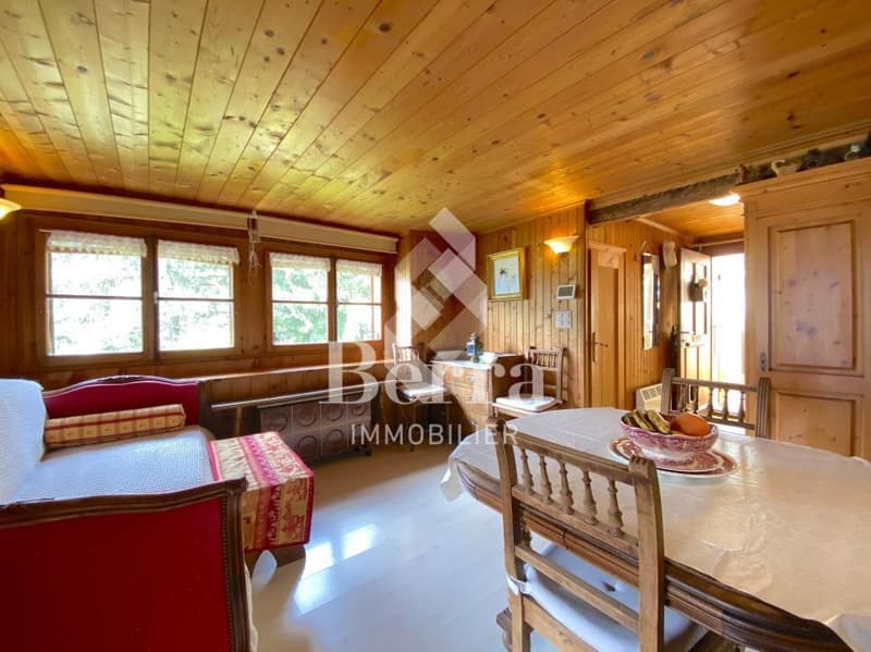 Appartement - Terrasse et terrain pour aggrandissement ! (9)