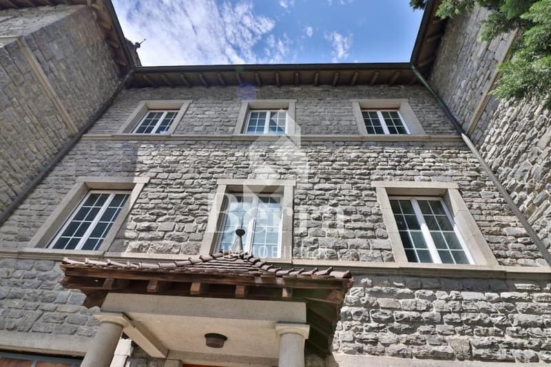 Manoir de 2 appartements + combles - Opportunité rare !!! (2)