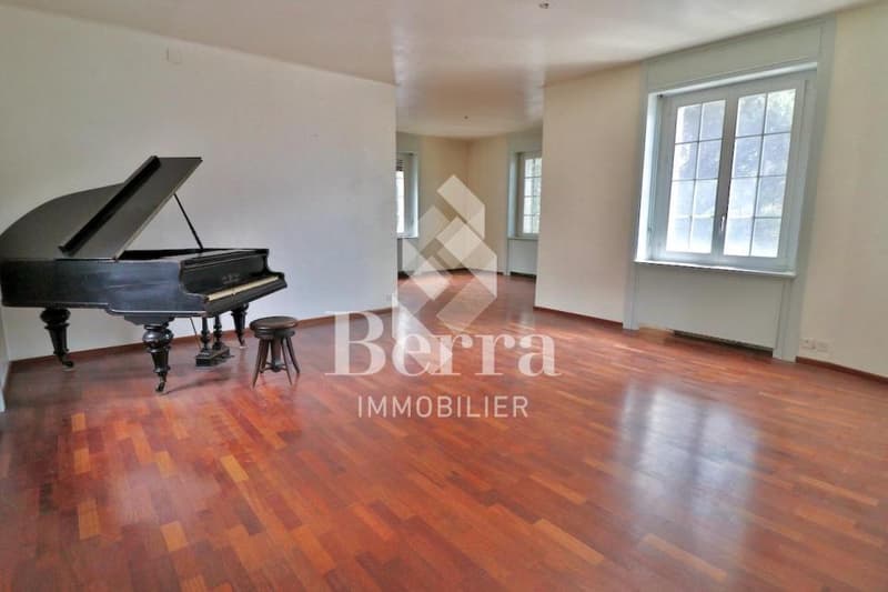Manoir de 2 appartements + combles - Opportunité rare !!! (4)