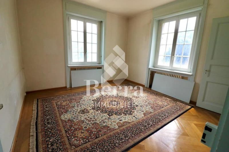 Manoir de 2 appartements + combles - Opportunité rare !!! (8)