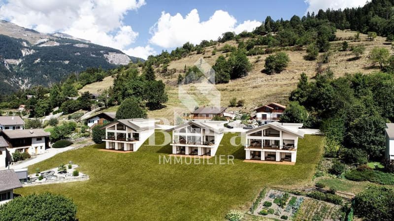 Villa individuelle à haut rendement énergétique (3)