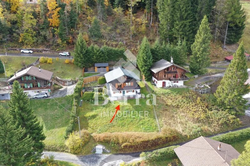 Superbe chalet rénové avec studio indépendant et vue panoramique sur le Lac Léman (2)
