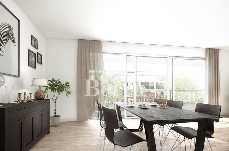 Attique avec terrasse panoramique de 138 m2 (5)