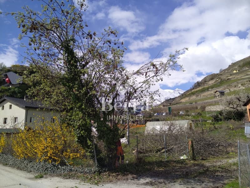 Portachon - Chateauneuf Sion (9)