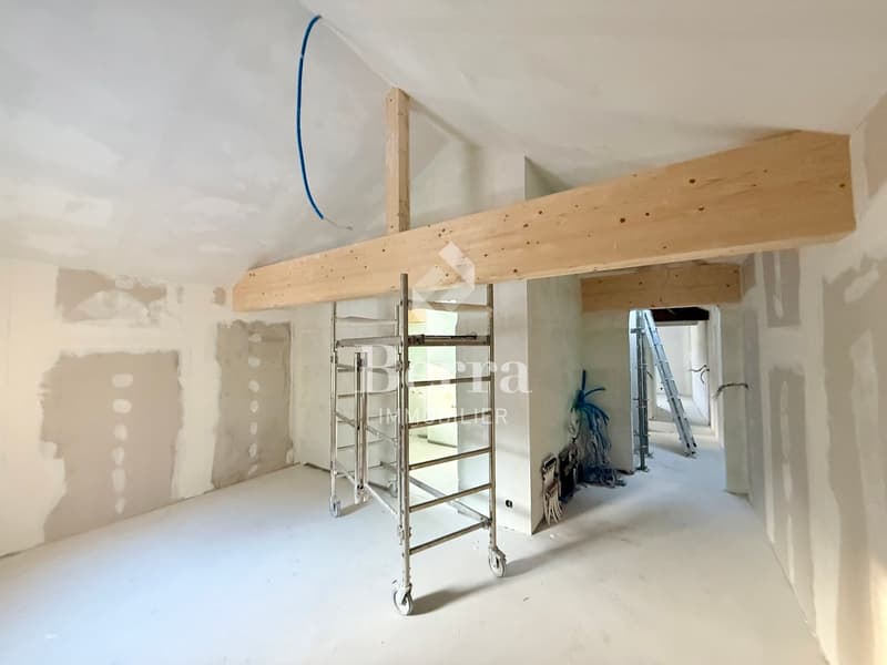 Maison au Châtel-sur-Bex, livré avec potager privé (8)