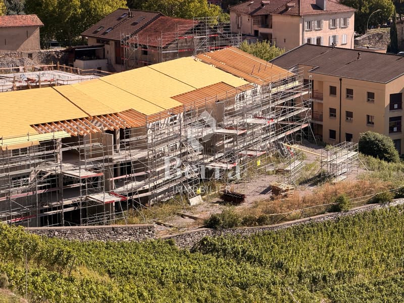 Le Clos des Forges (1)