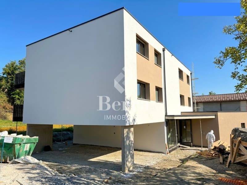 Les travaux ont commencé ! 3.5 pièces au rez (2)