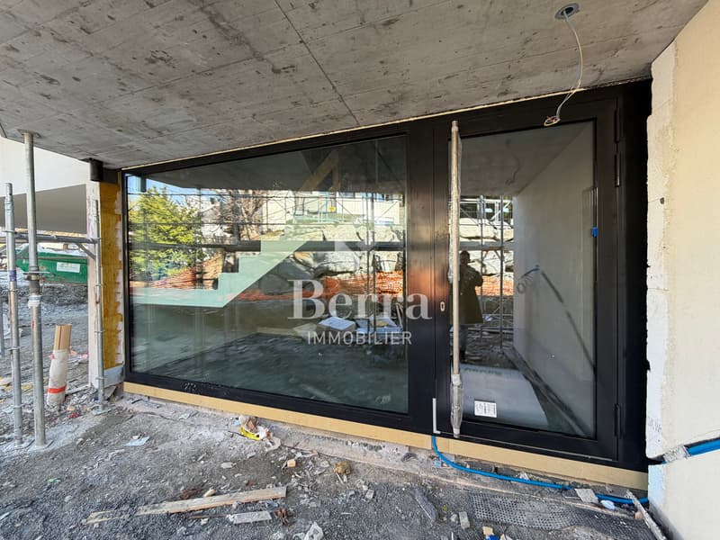 Les travaux ont commencé ! 3.5 pièces au rez (13)