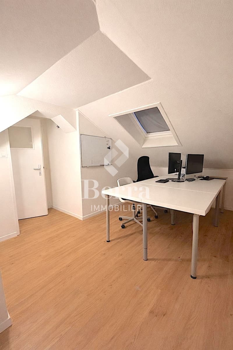 Immeuble rénové de 3 appartements - potentiel de développement (13)