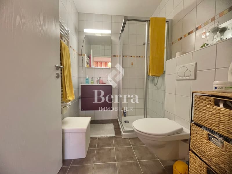 Magnifique appartement 4.5 pièces (12)