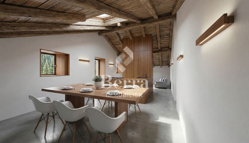 Les Murmûrs, appartements de caractère (10)