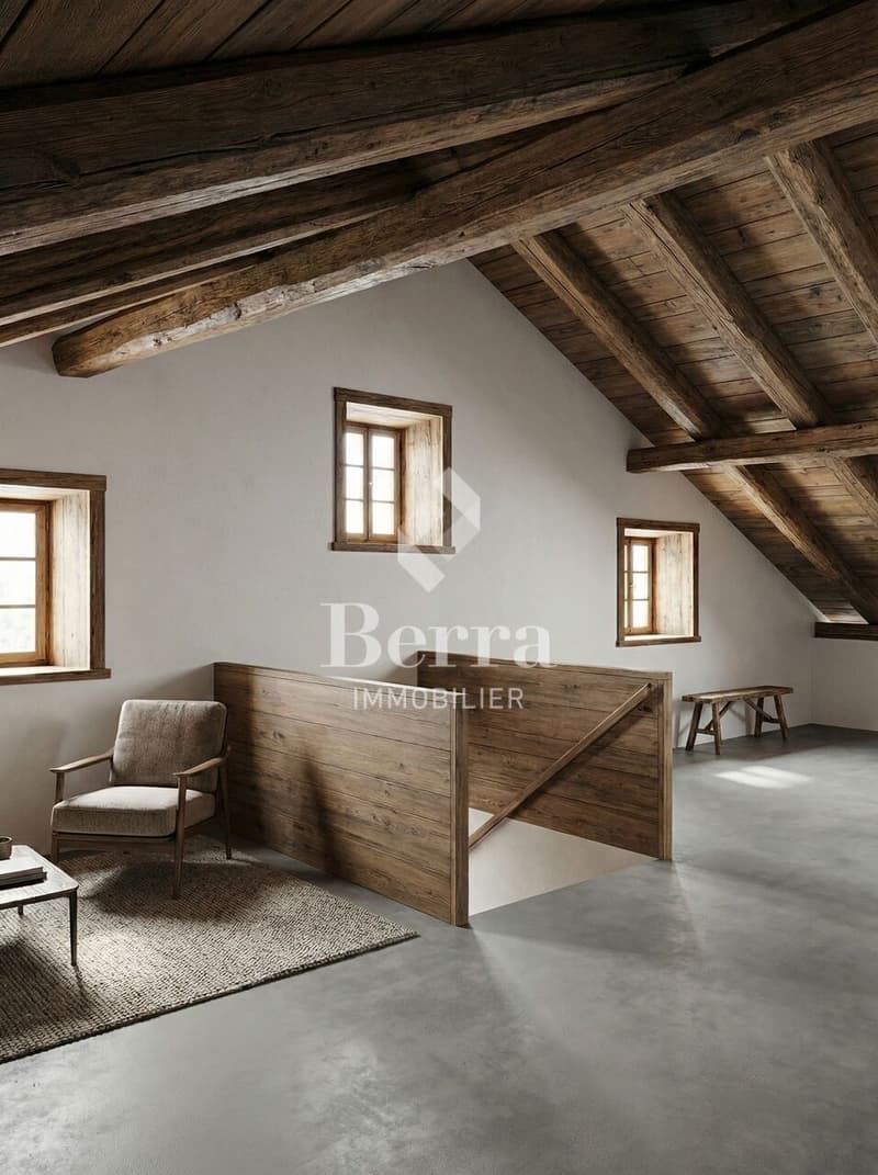 Les Murmûrs, appartements de caractère (6)