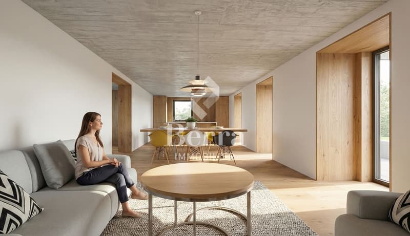 Les Murmûrs, appartements de caractère (6)
