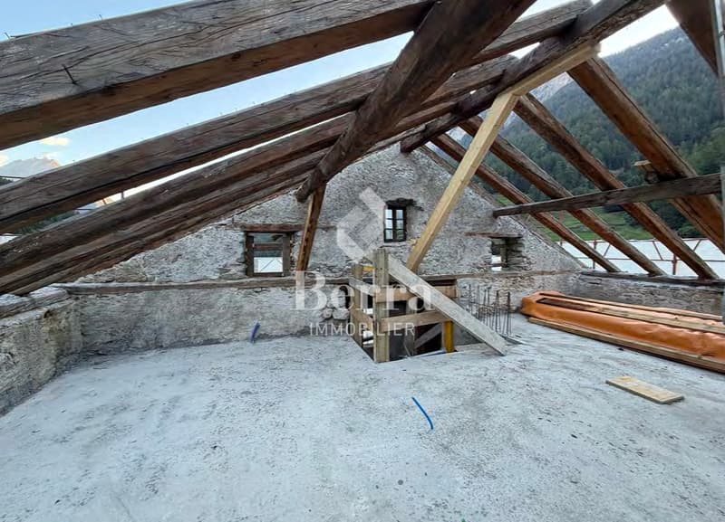 Les Murmûrs, appartements de caractère (7)