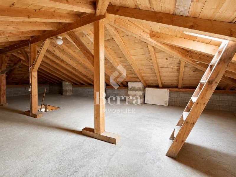 Villa individuelle avec jardin, terrasse, garage et beau potentiel. (13)