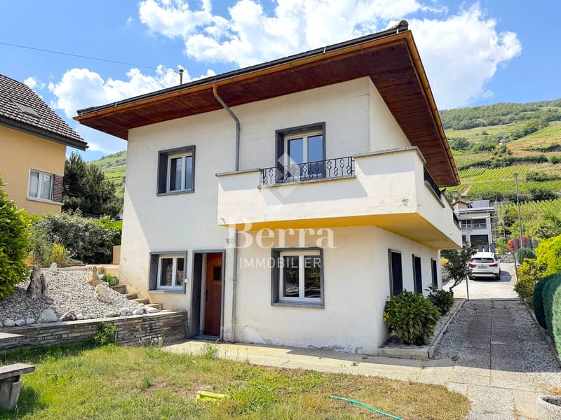 Villa individuelle avec jardin, terrasse, garage et beau potentiel. (2)