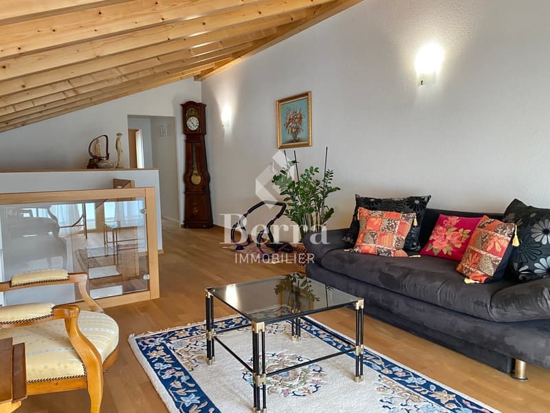Superbe duplex (13)