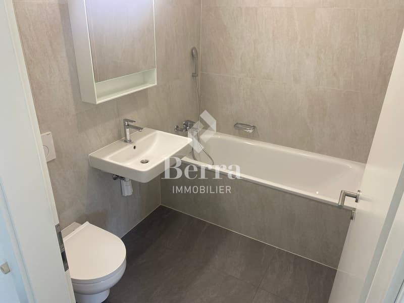 Grand studio neuf de 45m2 à louer ! (9)
