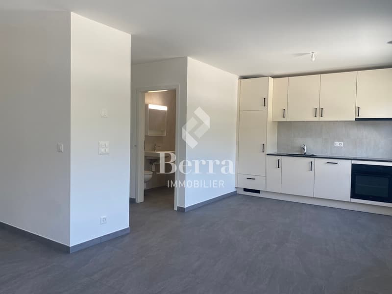 Grand studio neuf de 45m2 à louer ! (2)