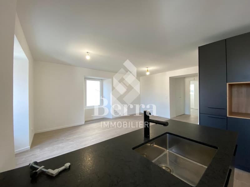 Duplex de 4.5 pièces + parcelle de 405 m2 (2)