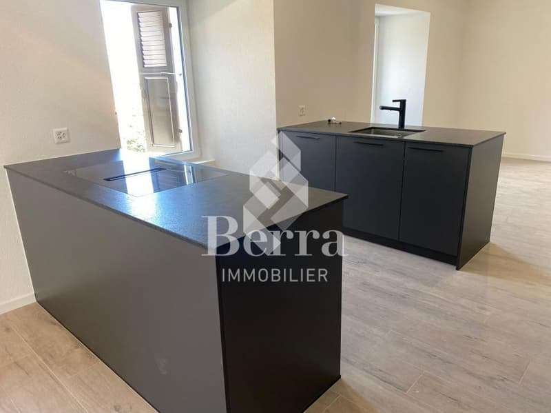 Duplex de 4.5 pièces + parcelle de 405 m2 (3)