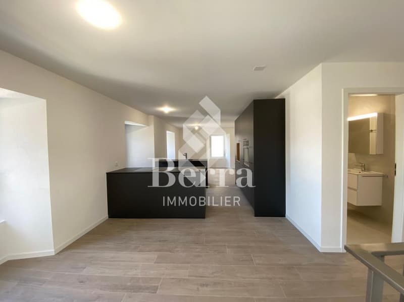 Duplex de 4.5 pièces + parcelle de 405 m2 (6)