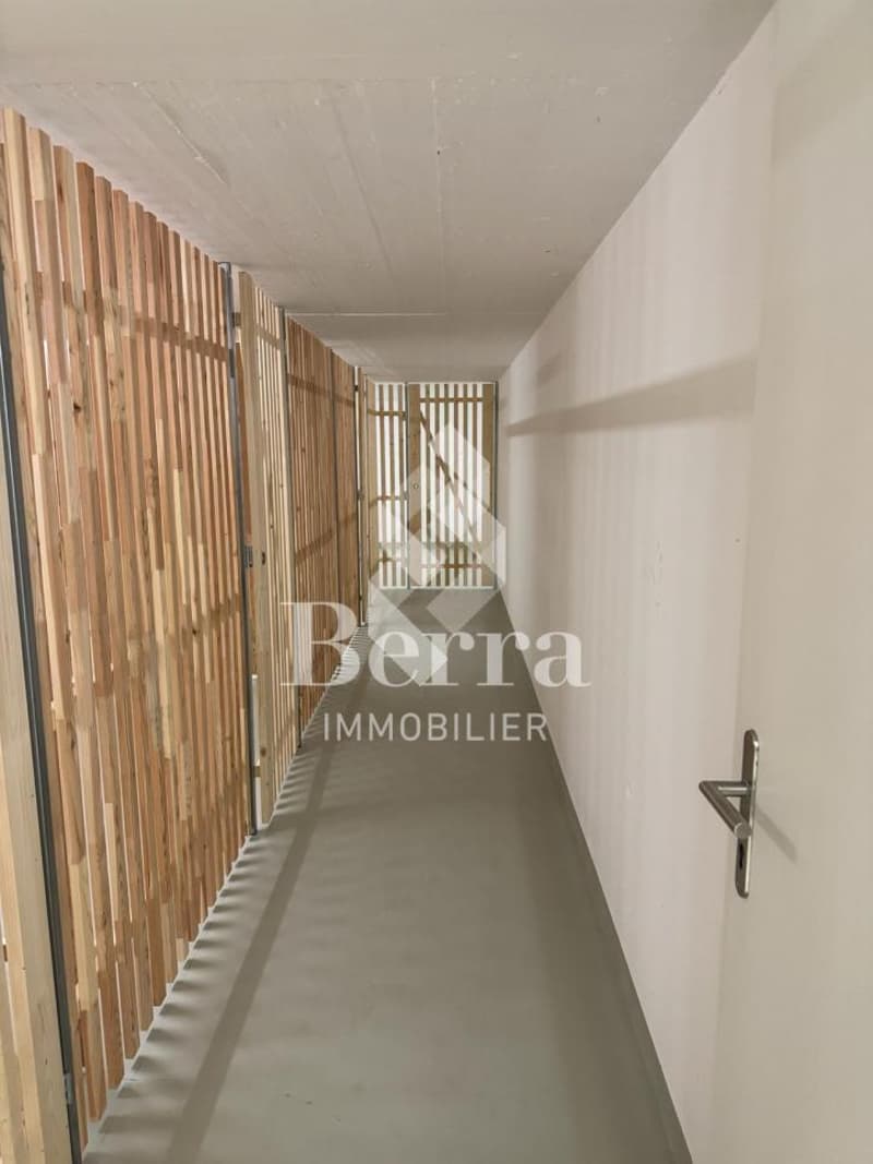 À LOUER - caves de différentes tailles disponibles immédiatement (1)