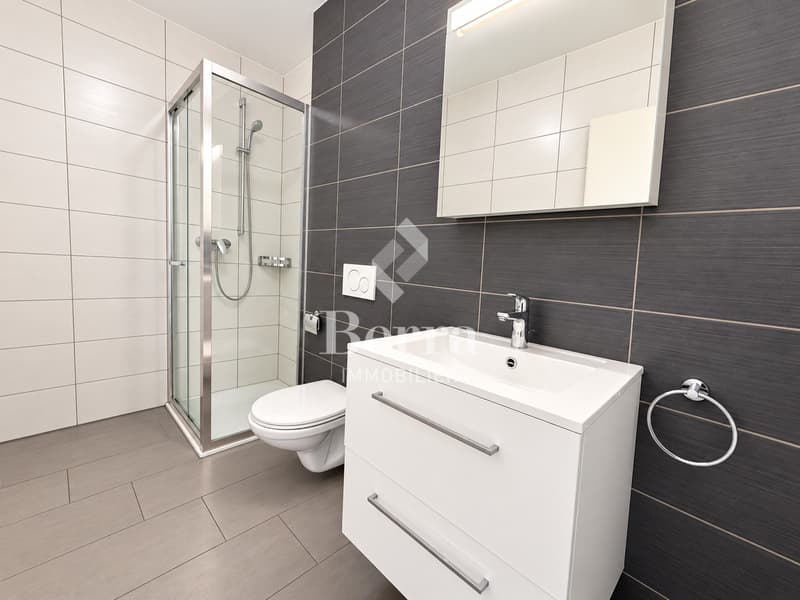 4.5 pièces en rez-de-jardin disponible de suite (12)