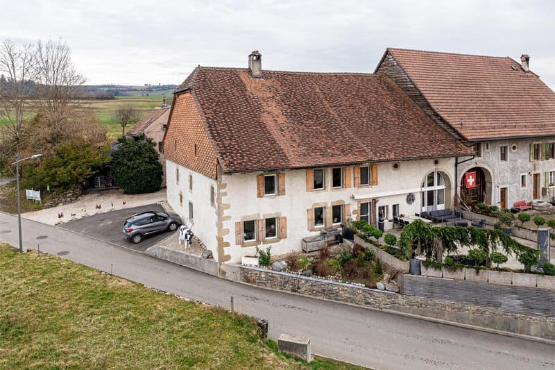 Charmante maison villageoise rénovée avec grande terrasse (1)