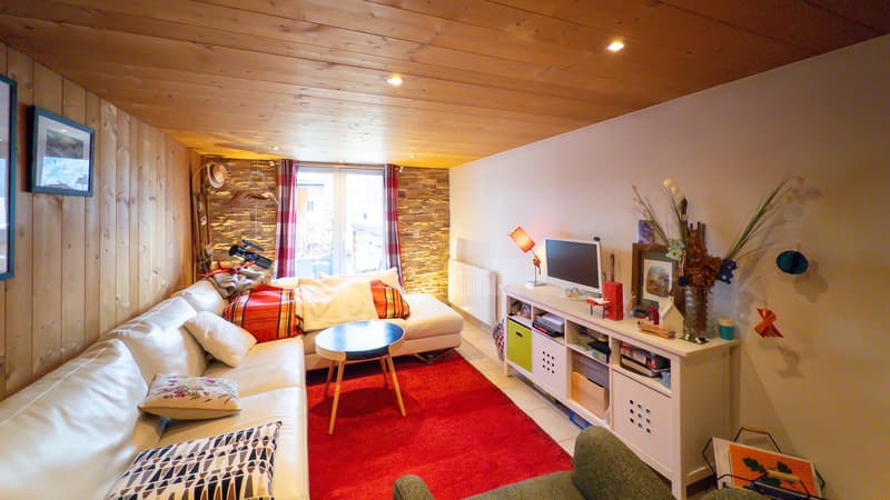 Charmante villa de deux appartements au formidable potentiel (9)