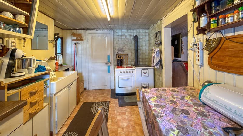 Charmante villa de deux appartements au formidable potentiel (4)