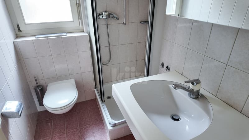 Superbe appartement avec vue imprenable sur le lac (8)