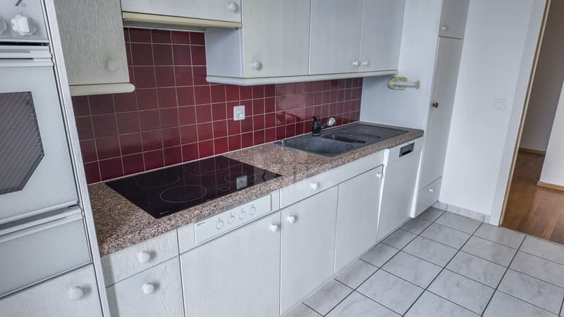 Superbe appartement avec vue imprenable sur le lac (11)