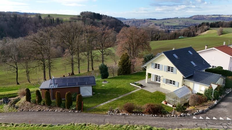 Belle villa individuelle avec pavillon et jardin (12)