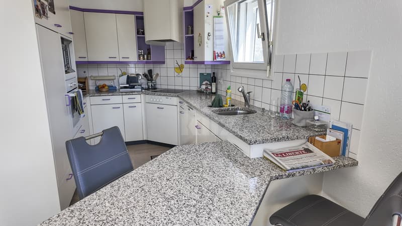 Habitation et atelier professionnel en zone industrielle (3)